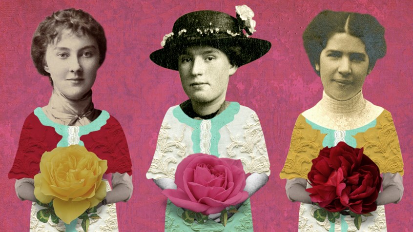 illustration of The War is Over film focuses on the home front, looking at how local people respond emotionally to the ending of WWI. The project engaged with the community, through interviews and workshops. The film was commissioned by Ipswich Museum and funded by the Heritage Lottery Fund. Women, flowers, pink, roses, peony, texture, collage, yellow, costume, Edwardian, Dada, Dadaism, surreal, vintage