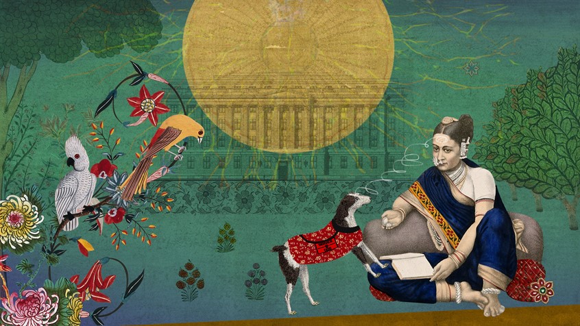 illustration of A series of editorial illustrations for Wellcome Collection's online publishing platform, coinciding with articles on a female's perspectives of epilepsy based in South India. Woman, man, seizure, plants, dog, sun, service dog, trees, culture, stigma, archives, epilepsy, disorder, neurology, human, sensations, medication, condition, brain, genes, brainwaves, pharmaceutical, nervous system, treatment, surgery, western society, chronic illness, guide dogs, museum, non profit organisation, NPO