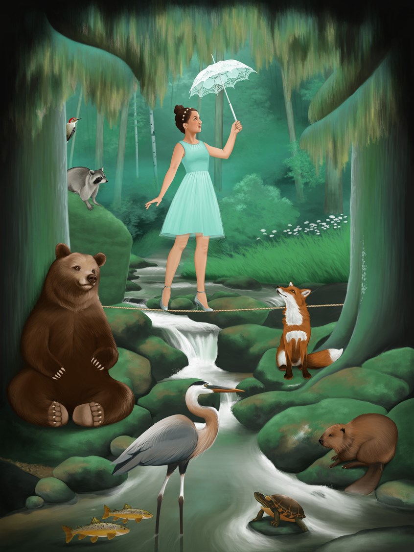 illustration of A young girl in a fashionable dress with a lace parasol walks a tightrope across a forest creek, surrounded by woodland animals, brown bear, beaver, heron, red fox, raccoon