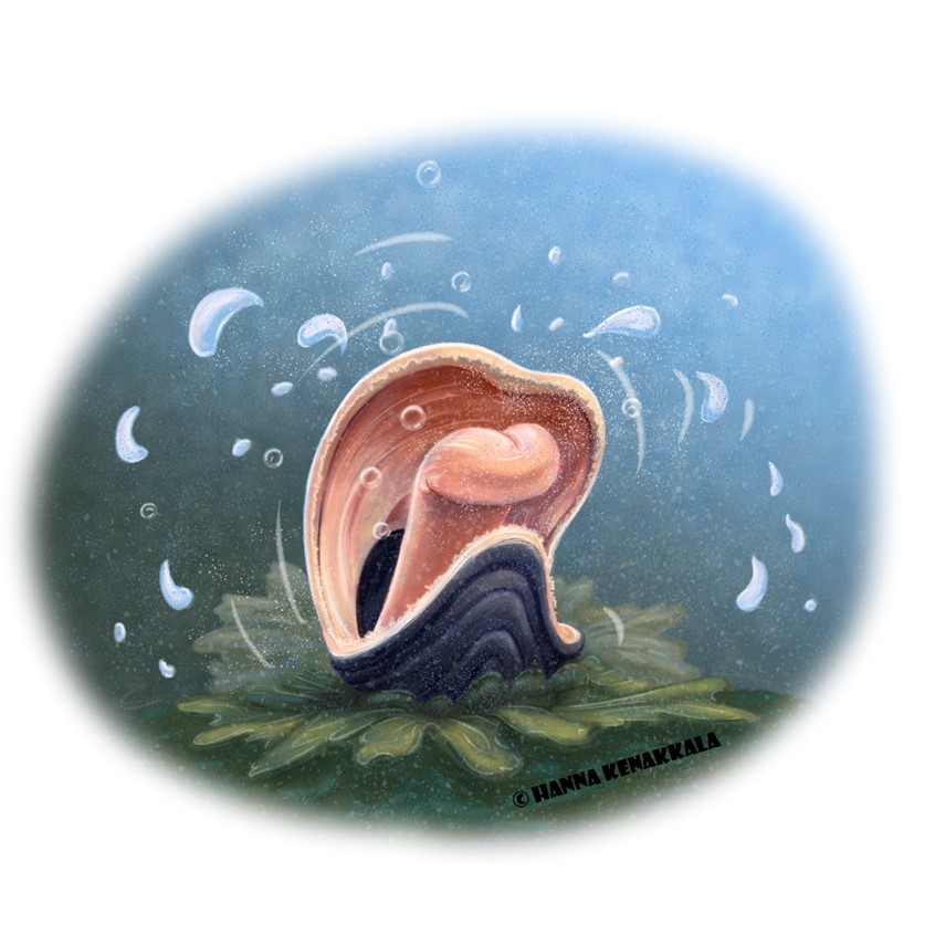 illustration of #Vignette #Nature #balticsea #Sea #Environment #Pollution #Ocean #Plastic #Microplastic #Water #clam #Animals #Planet #Eco #Childrensbook #bookillustration #Book #Illustration #Storytelling #whimsical #Colorfull #Anthropomorphic #Outdoors #Editorial #Publishing #Educational #Storytelling #alge #sad #characterdevelopment #seacreature #underthesea #cleanwater #cartoon #characterdevelopment #digitalpainting
