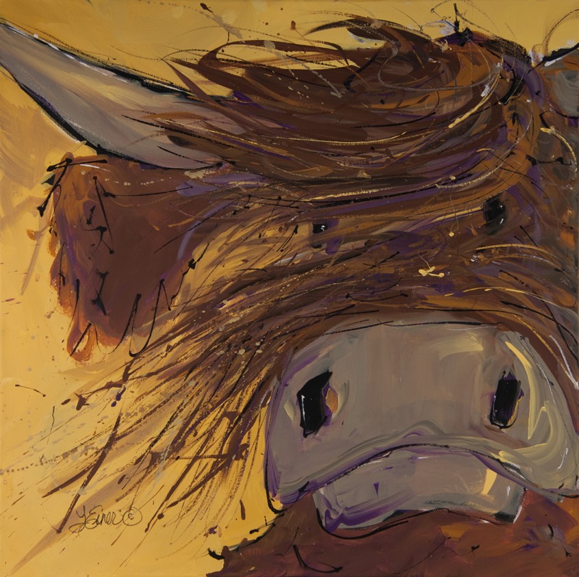 illustration of Whimsical Scottish Highland cow from the farm country rural humor hair windy grumpy horns snout peek greeting cards advertising brown attitude emotion windswept animal animals critter critters