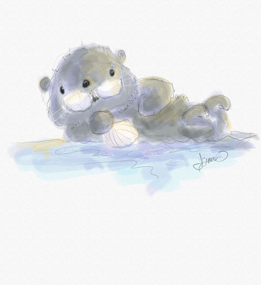 illustration of Character study for book proposal. otter sea ocean animal animals mammal mammals kidlit picture book books juvenile children marine wild whimiscal watercolor seashell swim dine eat dining water