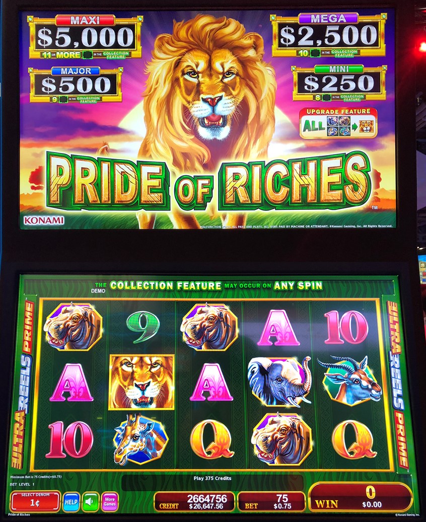 illustration of Sandra was responsible for the top screen Lion and sunset background, bonus tag, and the pic symbols of the bottom screen. Chris Card designed the bottom screen game background and progressive meters. The card symbols are standard Konami symbols and the logo was designed by a Konami Glass artist. Sandra's pic symbols include Pic A: lion, Pic B: Elephant, Pic C: Hippo, Pic D: Giraffe and Pic E: Antelope. This is the Primary Game Screen.