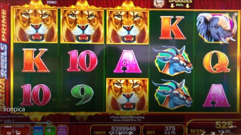 Pride of Riches Casino Slot Game Pic A Animation Animation by Sandra ...