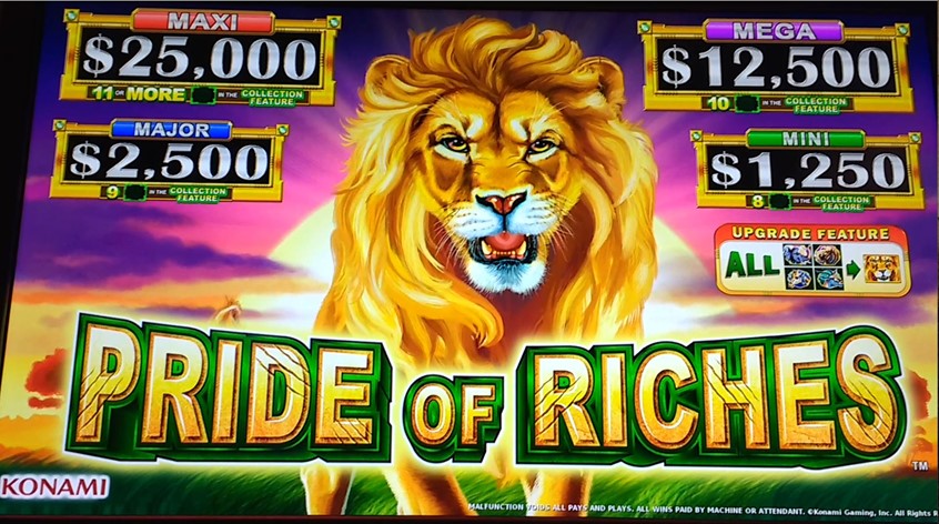 Pride of Riches Casino Slot Game Idle Animation Animation by Sandra ...