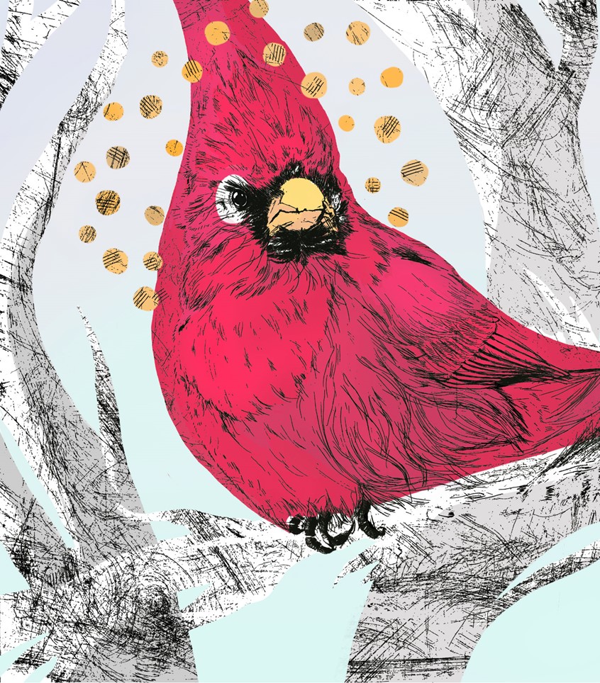 illustration of A Mixed Media experiment on layering traditional Etching linework with rolled serigraphy colors.
The Cardinal has always been a helpful symbol for me, so I decided to try this experiement with the likeness of the main figure.
Black Linework was etched in copper, while the background was made with three screenprinting screens in layer succession.
The linework was then printed into the color to create something flat but with subtle blending from the screenprinted color.