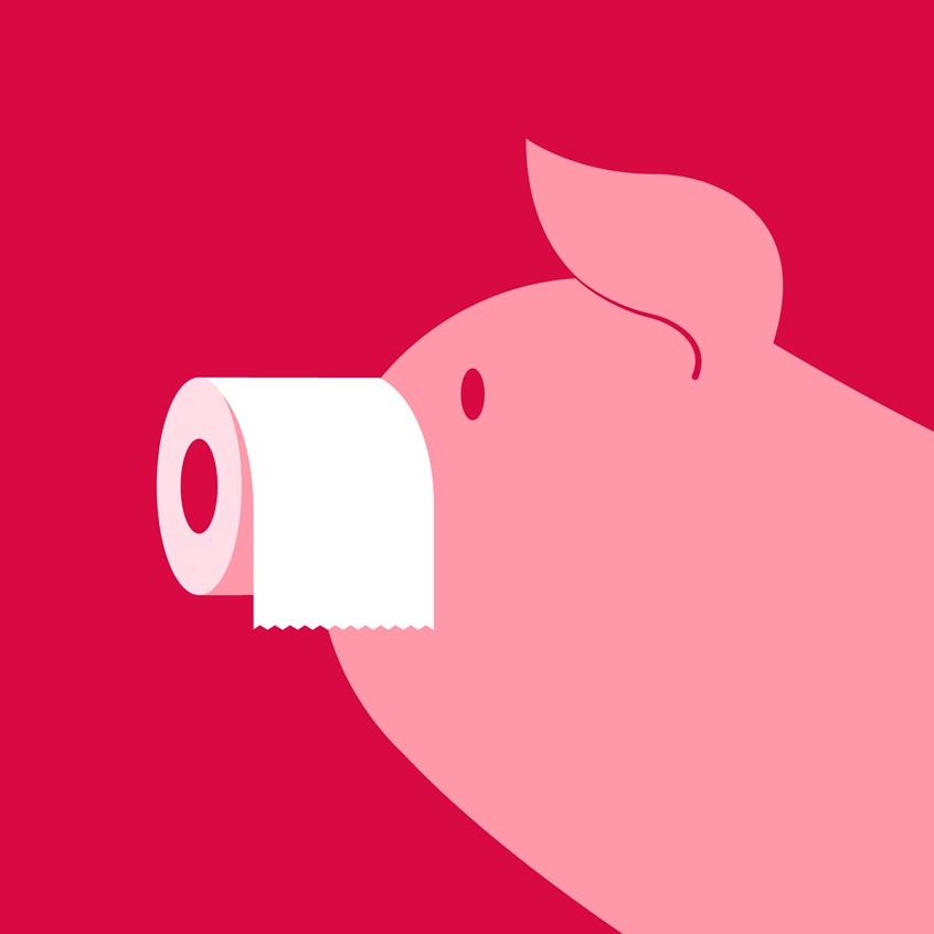 illustration of Created to raise awareness during the toilet roll hoarding phase of the coronavirus pandemic. Conceptual, toilet roll, toilet paper, pig, humour, greed, hoarding, pink, vector, flat colour.