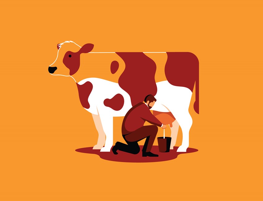 illustration of financial, farmer, farming, dairy cow, animal, milk, agriculture, divident etf, investing, investment, investor, produce, food, drink, editorial, conceptual, narrative.