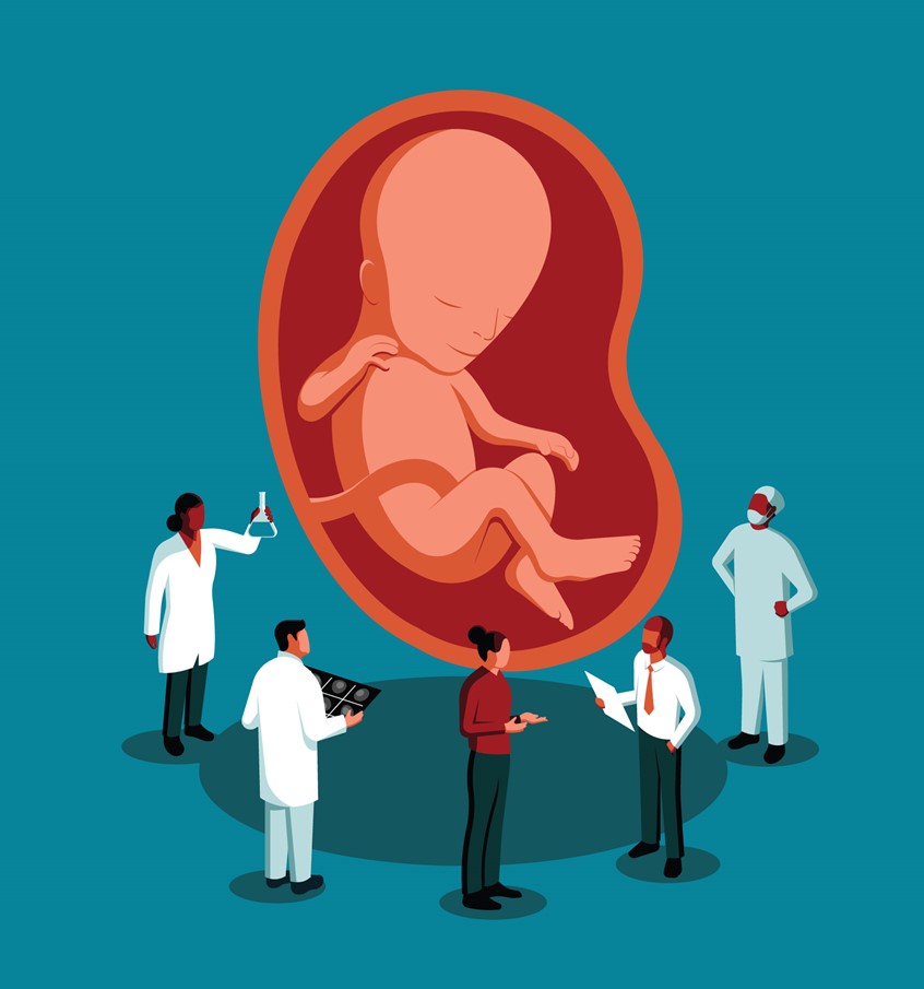 illustration of Cover illustration for RBHH's Case notes magazine. The illustration highlights an overview of the fertility services that the Royal Brompton and Harefield hospitals offer, including IVF, genetic testing of embryos, personal care and counselling.
Medicine, medical, hospital, scans, surgery, baby, foetus, pregnancy, baby, uterus, umbilical cord, doctors, specialist, consultant, scientist, laboratory, research