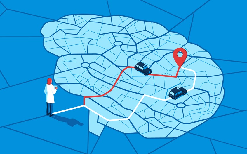 illustration of Created in honour of the late Eleanor Maguire, a neuroscientist who studied the hippocampus of drivers brains linking it to their memory and ability to navigate.
Research, brain, scientist, road, map, navigation, directions, journey, destination, road map, cab, taxi, driver