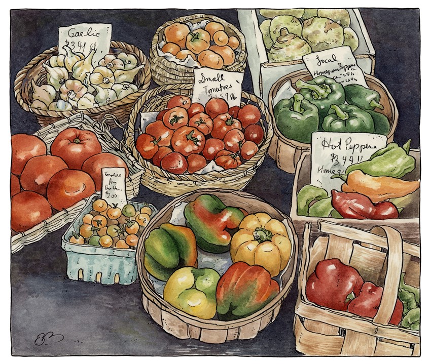 illustration of Colorful vegetables at a farmer’s market. Medium: ink and watercolor.
Vegetable, vegetables, produce, food, illustration, edible, cuisine, cooking, recipes, cookbook, garden, peppers, tomatoes, decorative, colorful, detailed.