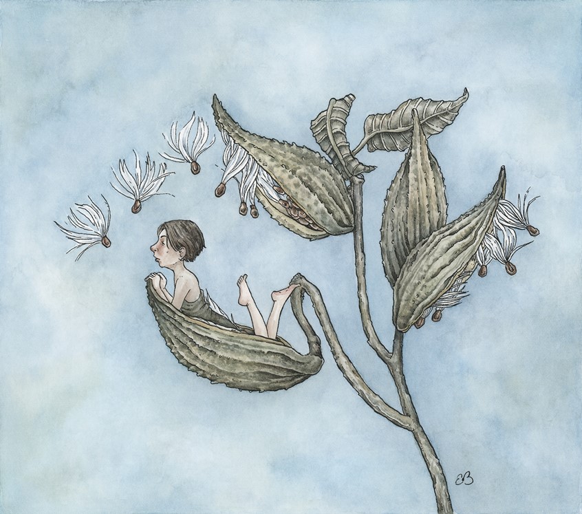 illustration of A little woodland person daydreaming in her milkweed pod. Medium: ink and watercolor.
Nature illustration, children's illustration, plants, fairy, quiet, licensing, whimsical, botanical, fairytale, greeting cards, picture books.