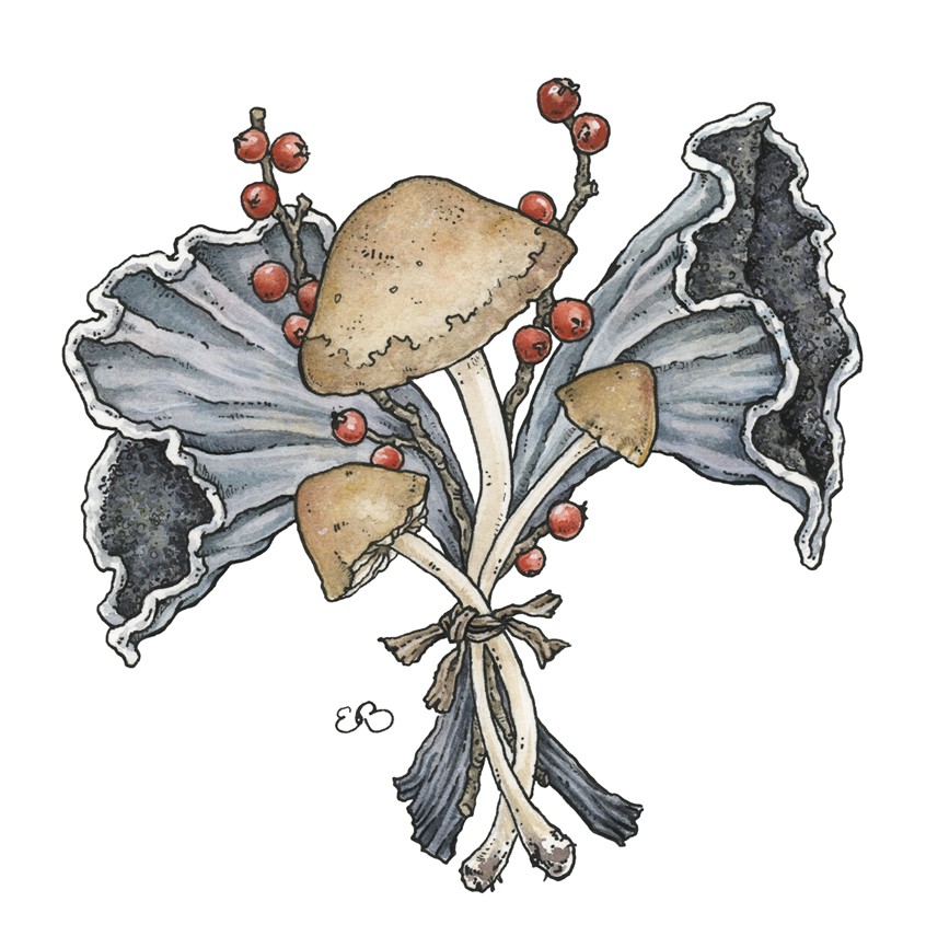 illustration of Scotch Bonnet Mushroom Bouquet. Medium: ink and watercolor.
Botanical, decorative illustration, mushroom, plants, berries, floral, greeting card, licensing, detailed, whimsical.