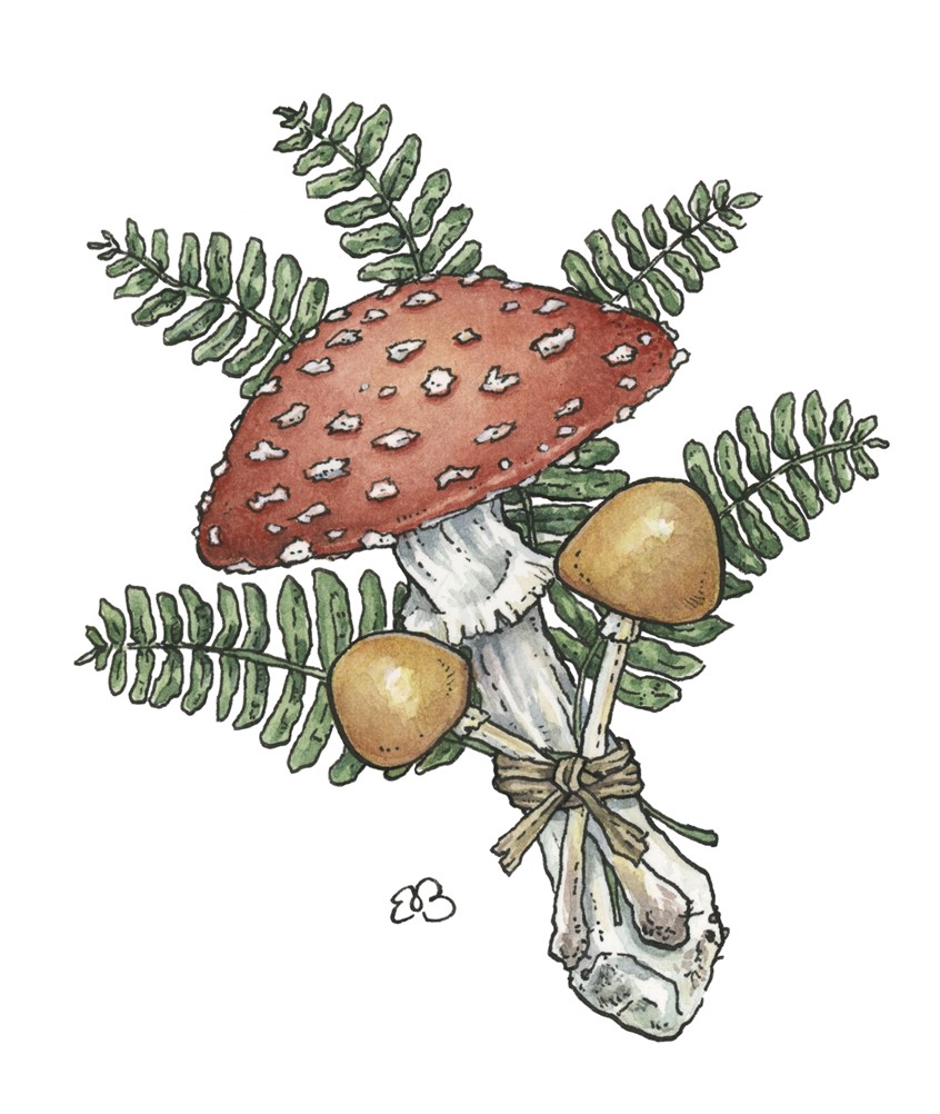 illustration of Amanita Mushroom Bouquet. Medium: ink and watercolor.
Botanical, decorative illustration, mushroom, fern, plants, floral, greeting card, licensing, detailed, whimsical.