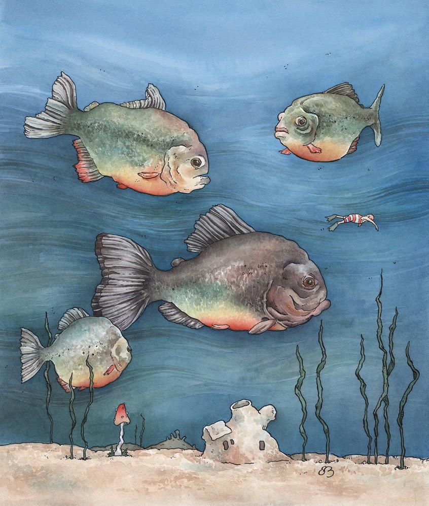 illustration of A tiny man braves the deep waters. Medium: ink and watercolor.
Children's illustration, children's books, picture books, animals, fish, underwater, ocean, water, piranha, swimming, kids books, children's illustrator, Erin O’Leary Brown.