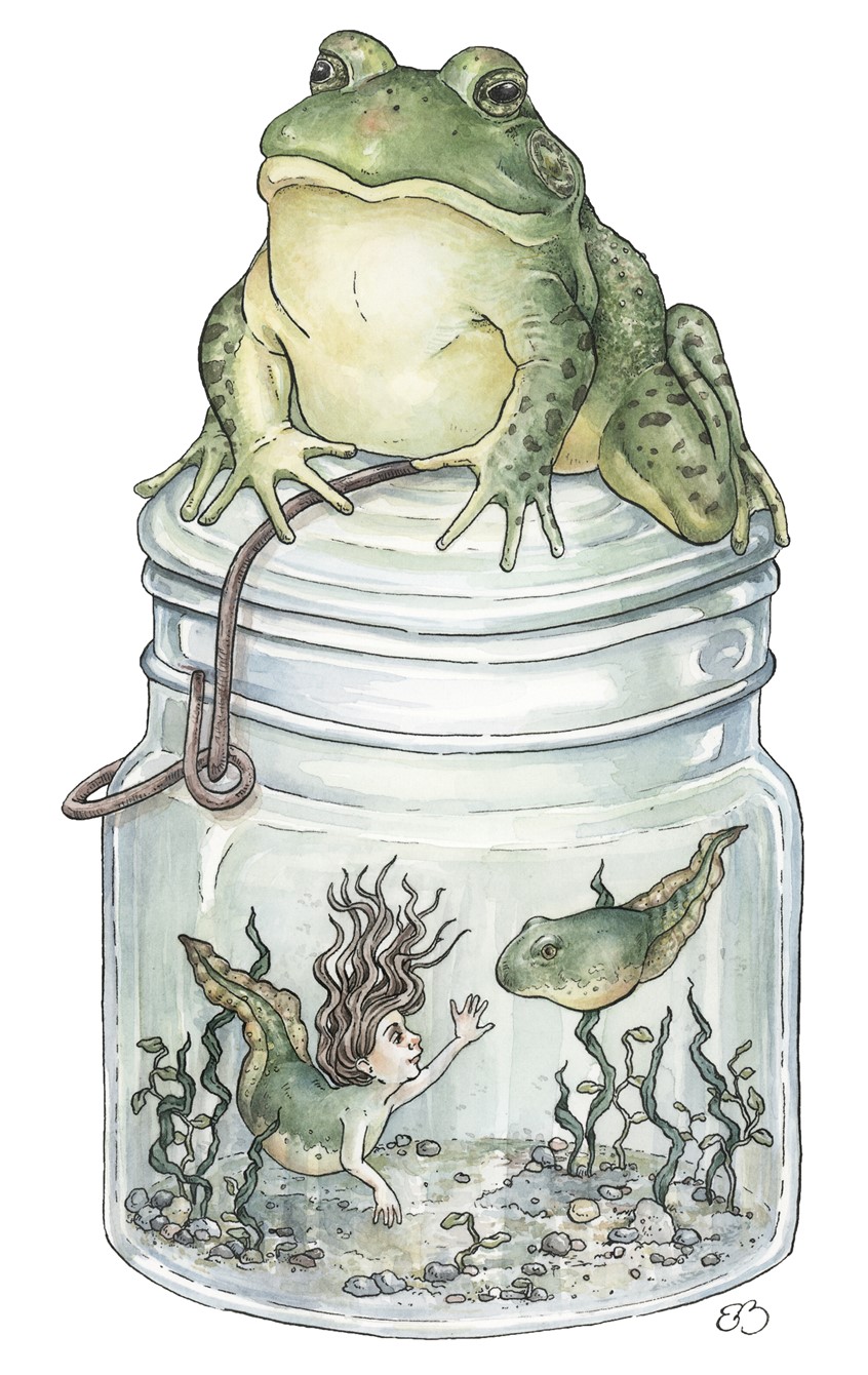 illustration of Strange pollywogs. Medium: ink and watercolor.
Children's illustration, children's books, picture book, children, kids, fantasy, fairy tales, nature, mermaid, tadpole, frog, glass jar, under water scene, children's illustrator, licensing, whimsical, watercolor, Erin O'Leary Brown.