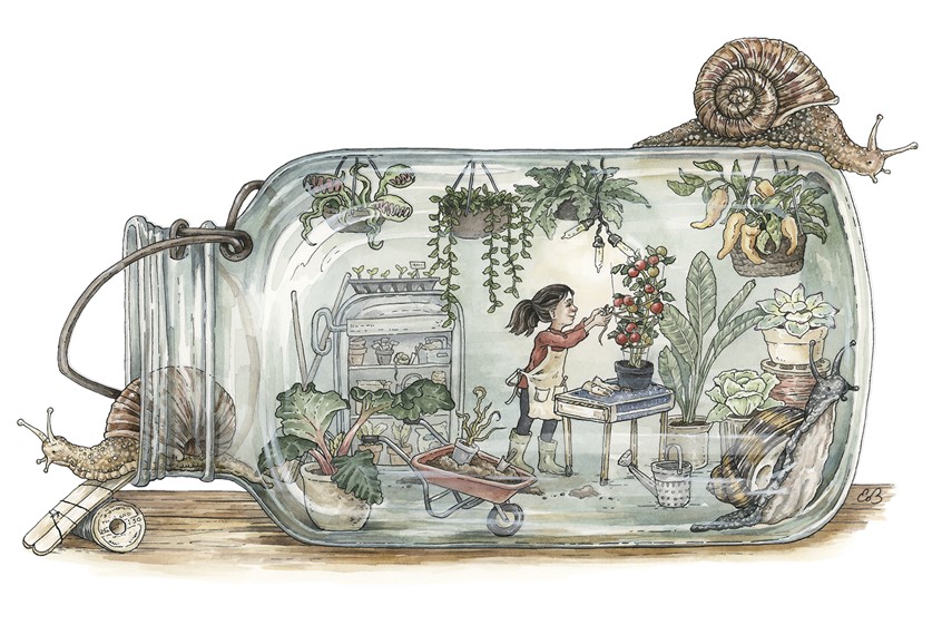 illustration of A gardener in a tiny greenhouse. Medium: ink and watercolor.
Children's illustration, picture books, kids books, child, girl, snail, flowers, plants, houseplants, bottle, children's illustrator.