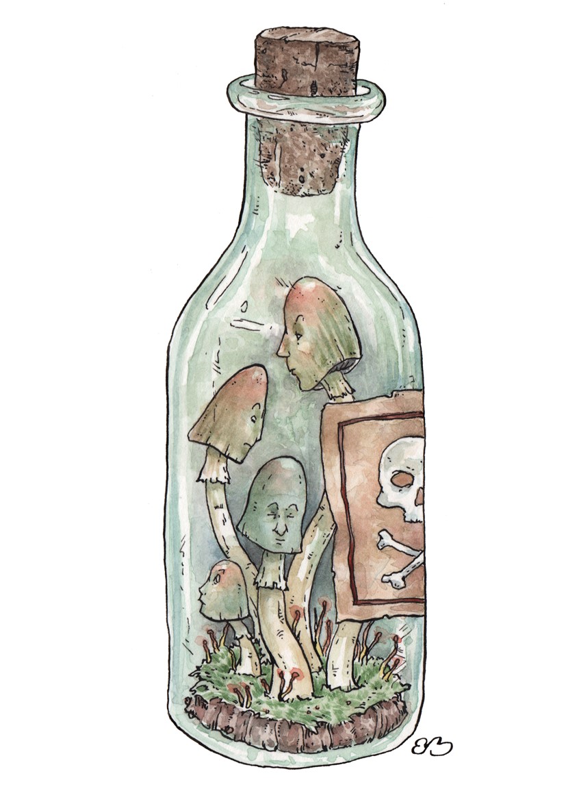 illustration of Poisonous mushrooms in a bottle. Medium: ink and watercolor.
Children's illustration, picture books, children's publishing, ink and wash, plant, glass jar, children's illustrator.
