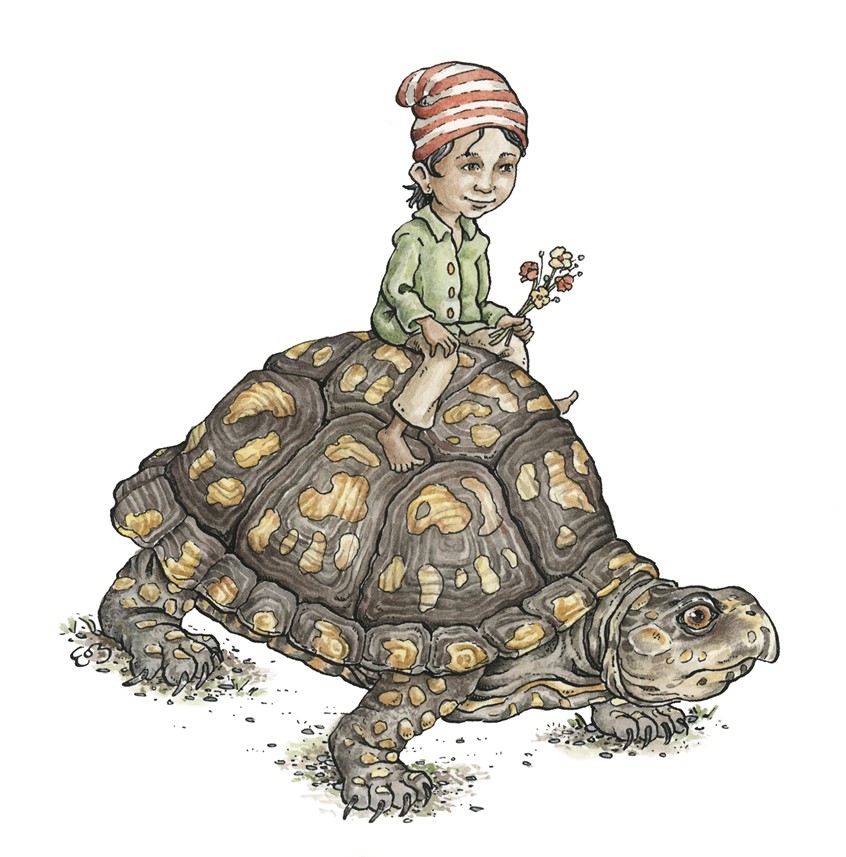 illustration of A small child out for a ride on his turtle friend. Medium; ink and watercolor.
Children's illustration, picture books, children's literature, kids books, animals, nature, riding, boy, turtle, animal, spot illustration, licensing, wildlife, Erin O’Leary Brown.