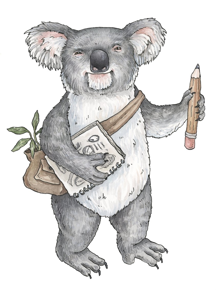 illustration of Koala with sketchbook and pencil. Medium: ink and watercolor.
Animal illustration, kids books, children's books, animal characters, drawing, artist, creativity, children's illustration, picture books, wildlife, koala bear, bear, anthropomorphism.