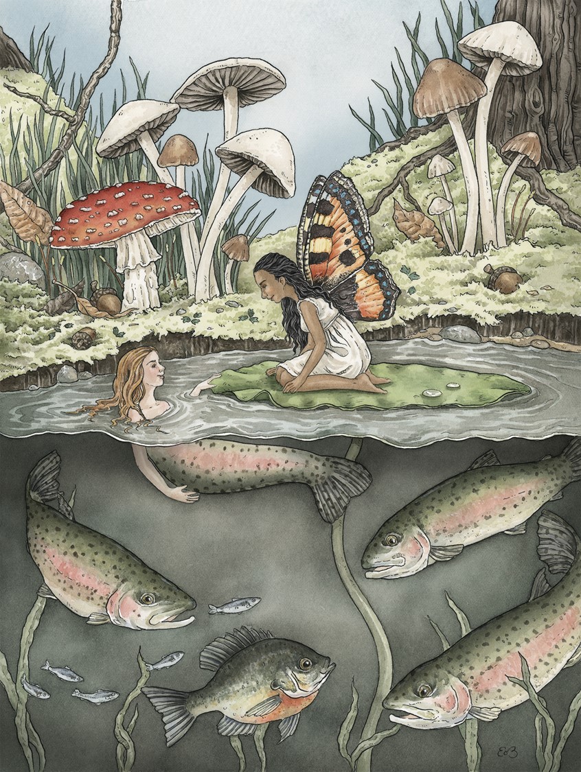 illustration of A mermaid and fairy meet in the forest. Medium: ink and watercolor.
Children's illustration, picture books, children's literature, children's books, kids, children, fantasy, fairy tale, lily pad, pond nature, lake, water, underwater, fish, trout, mushrooms, woodland, woods, narrative, story, Erin O'Leary Brown.