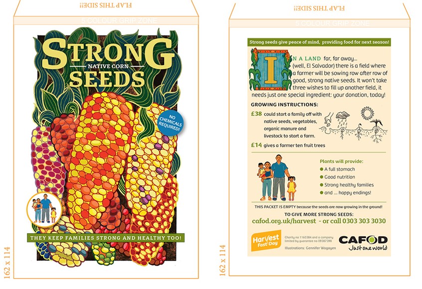 illustration of Illustrated packaging design for CAFOD Charity's harvest seed packet, distributed to their subscribers via mail. Mail, campaign, packaging, corn, farming, donation, native, marketing.