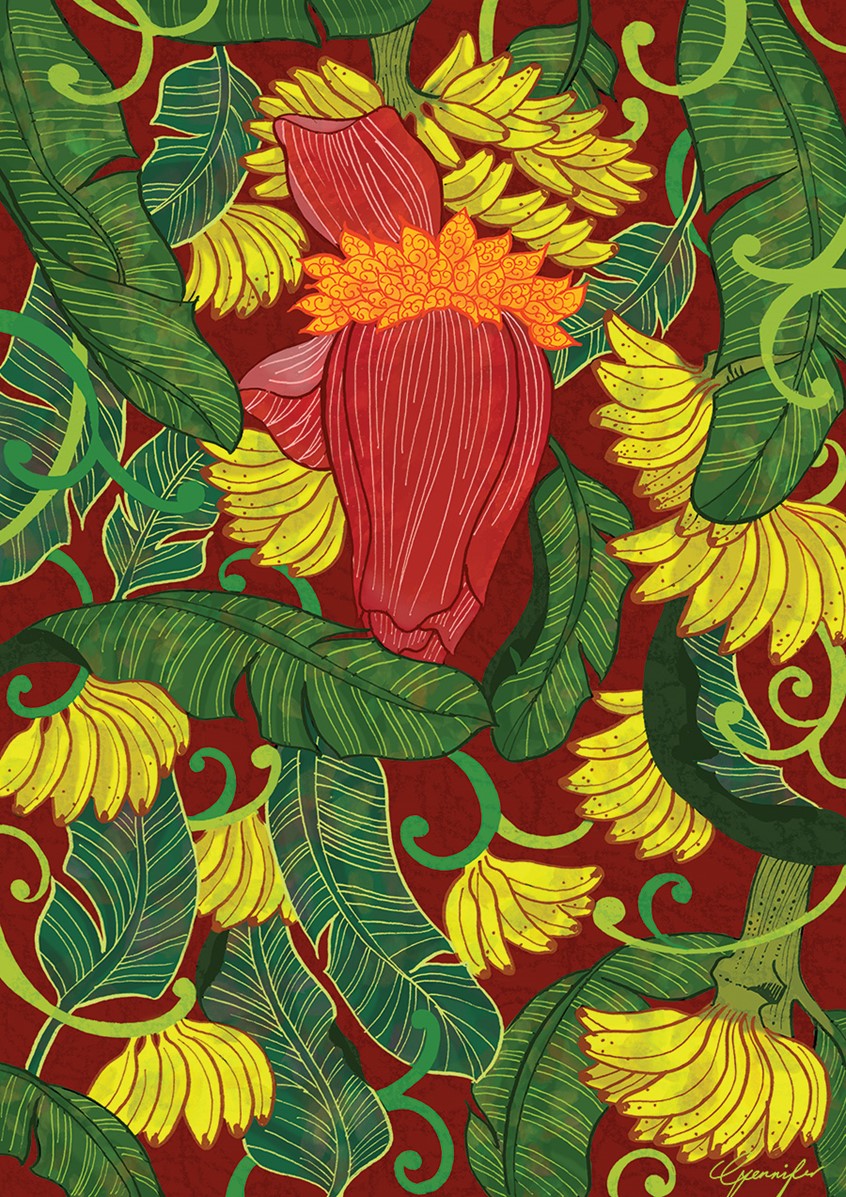 illustration of Illustrated piece for a set of 3 fruit posters based on the most favoured fruits of the Philippines. Banana, heart, plant, fruit, stem, abstract, pattern, maroon, red, green, yellow, poster design.