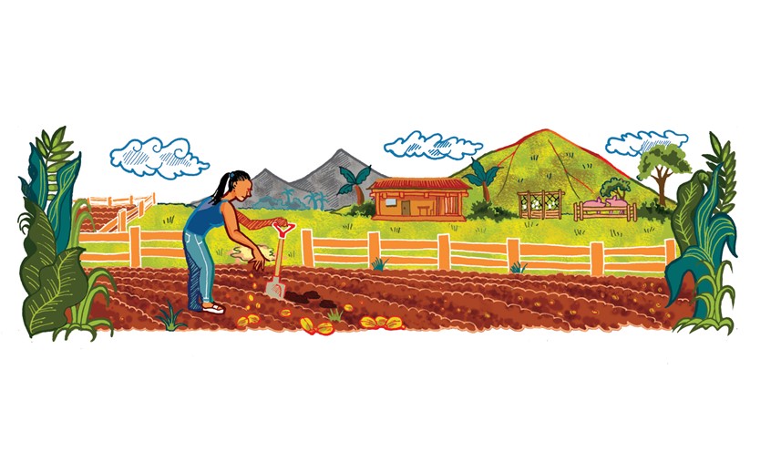 illustration of Front artwork for CAFOD's fairytale-theme, harvesting story campaign on El Salvador farmers for their mailing project. Seeds, editorial, advertising, marketing, design, field, mountains, grass, land, culture.