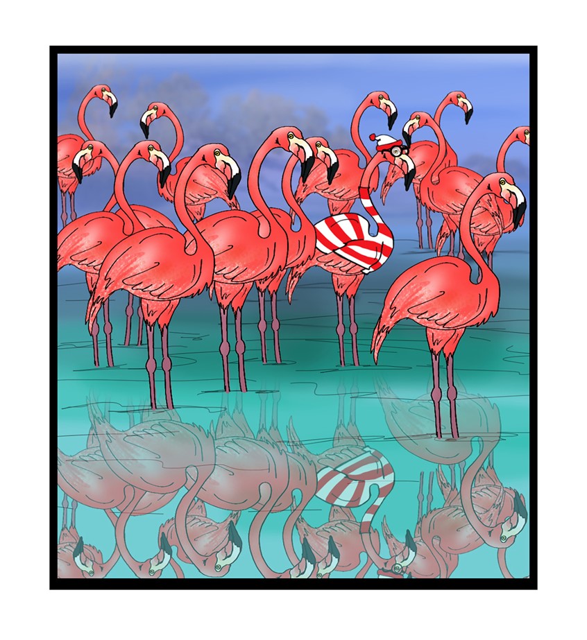 illustration of Flamingos Striped clothing where's waldo? animals nature birds water tropical endangered species feathers beak pink long legs sweater long legs WWF West Indies, Yucatán Galapagos Islands Middle East India South America Animal wildlife islands puzzle find humor funny satire water lake pond pink