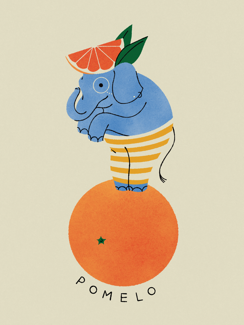 illustration of Character Closeup: The Grapefruit. Illustration about seasonal foods to eat in January, here in Peninsular Spain, served with a pinch of humor. Personal work.
.
Food
Gastronomy
Seasonal
Produce
Celebration
Vegetables
Grapefruit