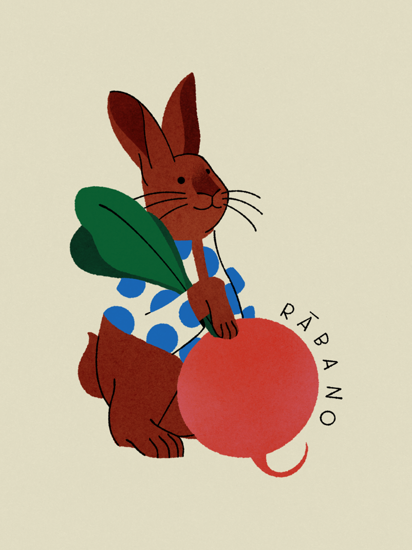 illustration of Character Closeup: The Radish. Illustration about seasonal foods to eat in January, here in Peninsular Spain, served with a pinch of humor. Personal work.
.
Food
Gastronomy
Seasonal
Produce
Celebration
Vegetables
Radish