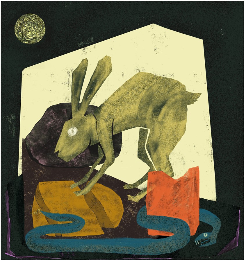 illustration of Image of wildlife in the desert.
Rabbit, jack, jackrabbit, bunny, hair, snake, rattlesnake, dark, night, rocks, landscape, desert, fright, surprise, freeze, pray, nature, animals,