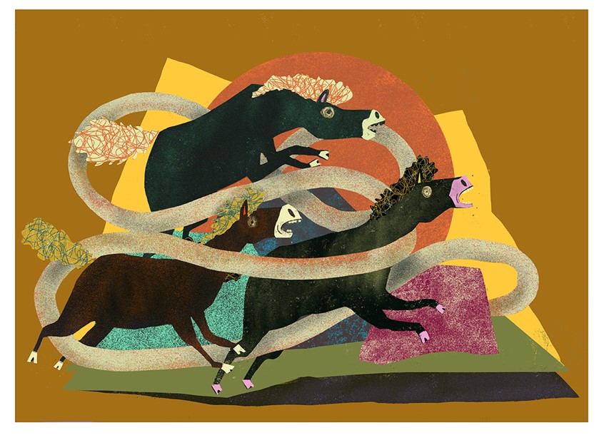illustration of beer, horse, cowboy, silly, snake, rattlesnake, cactus, sun, drinking, fat, goofy, desert, mustache, mullet, pabst, blue, ribbon, can, jeans, boots, western, stampede, running, jumping
fear, uncertainty, loss, shock, closeness. nature, space, face, weird, conservation, equality, ownership, identity, , prehistoric, alien, outdoors, weird, odd, Science, fiction inspired, peaceful, calm, serine, midcentury, modern, modernism, line, airbrush, texture, horse