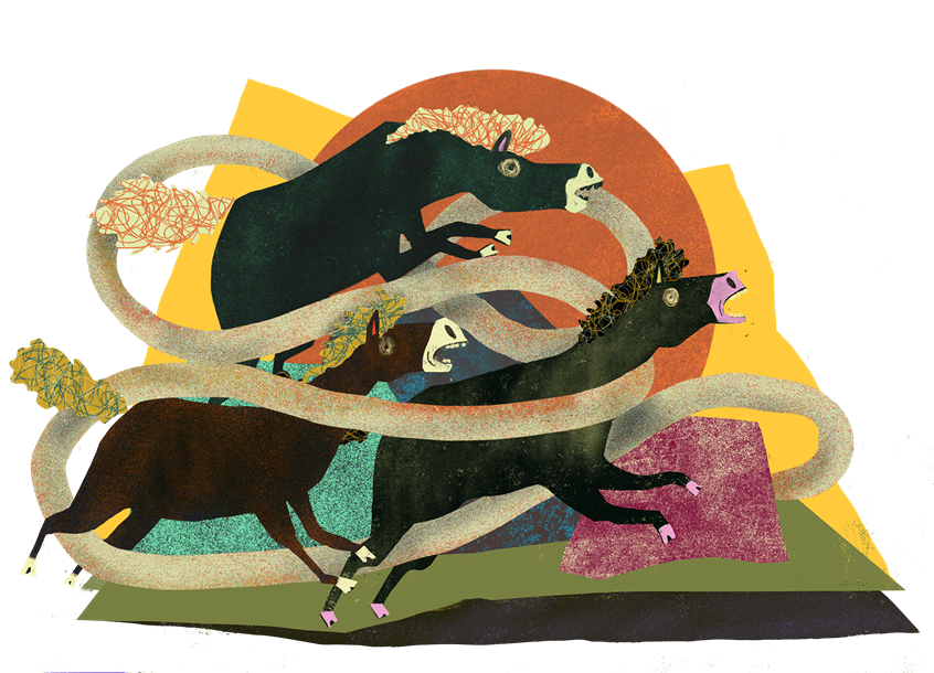 illustration of Horse galloping with rocks, mountains and boulders in background with sun going down.
Horse, horses, cartoon, silly, conceptual, graphic, galloping, herd, gallop, western