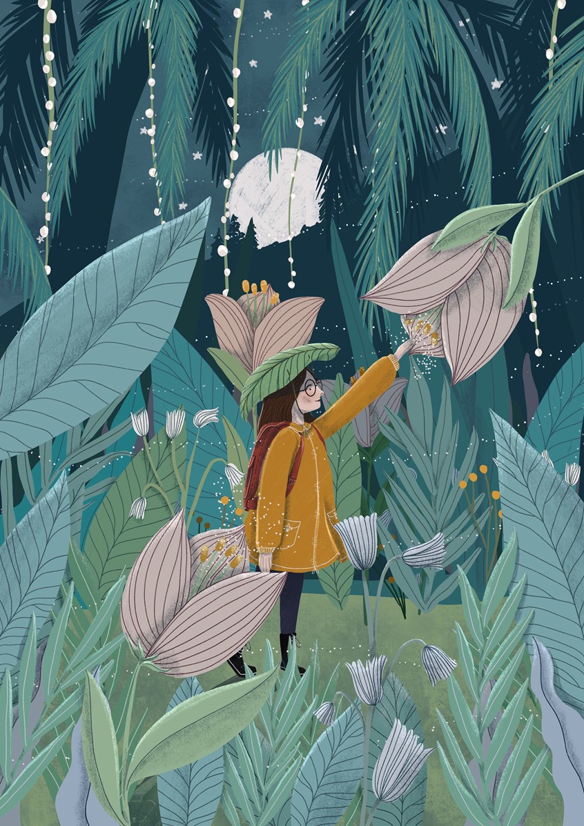illustration of book cover, book jacket, kidlit, children's publishing, children's book, editorial, botanical, flowers, nature, plants, night, pixie, elf, borrower