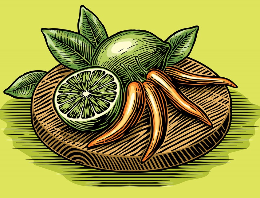 illustration of color woodcut illustration, lime, chillies, woodcut food, packaging, colour scratchboard food, citrus, fruit, scratchboard fruit, scraperboard