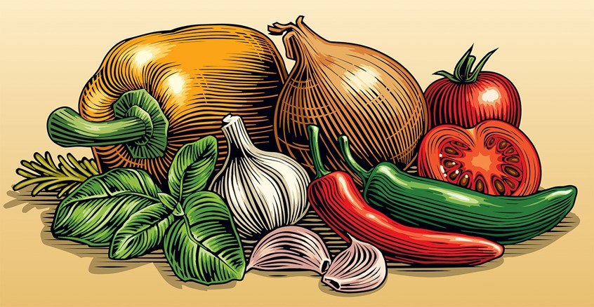 illustration of food packaging, garlic, scratchboard food, colour woodcut, onion, pepper, capsicum, basil, chilli, tomato, graphic food, engraved food, herbs, vegetables