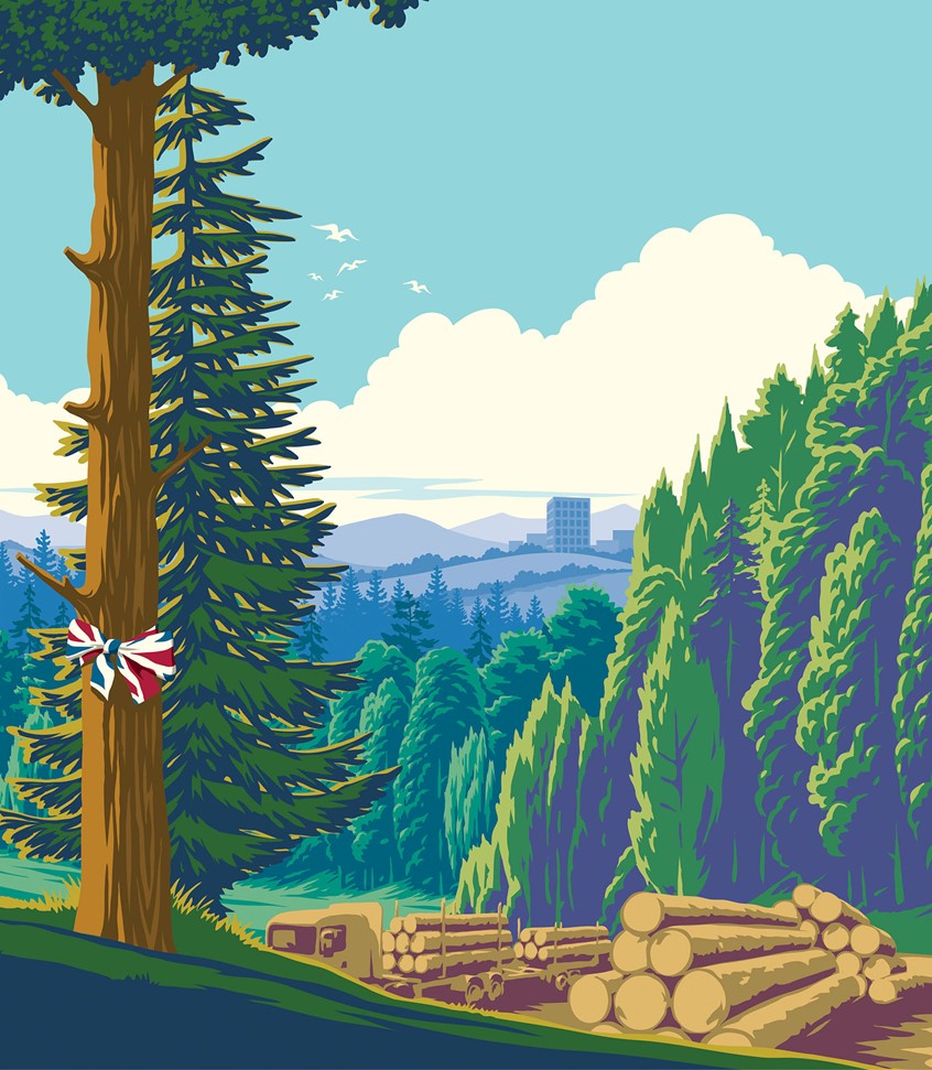 illustration of tree, vector scene, forestry, forests, trees, logging, timber, woods, landscape, fir tree, tree trunk, logging industry, flat design landscape
