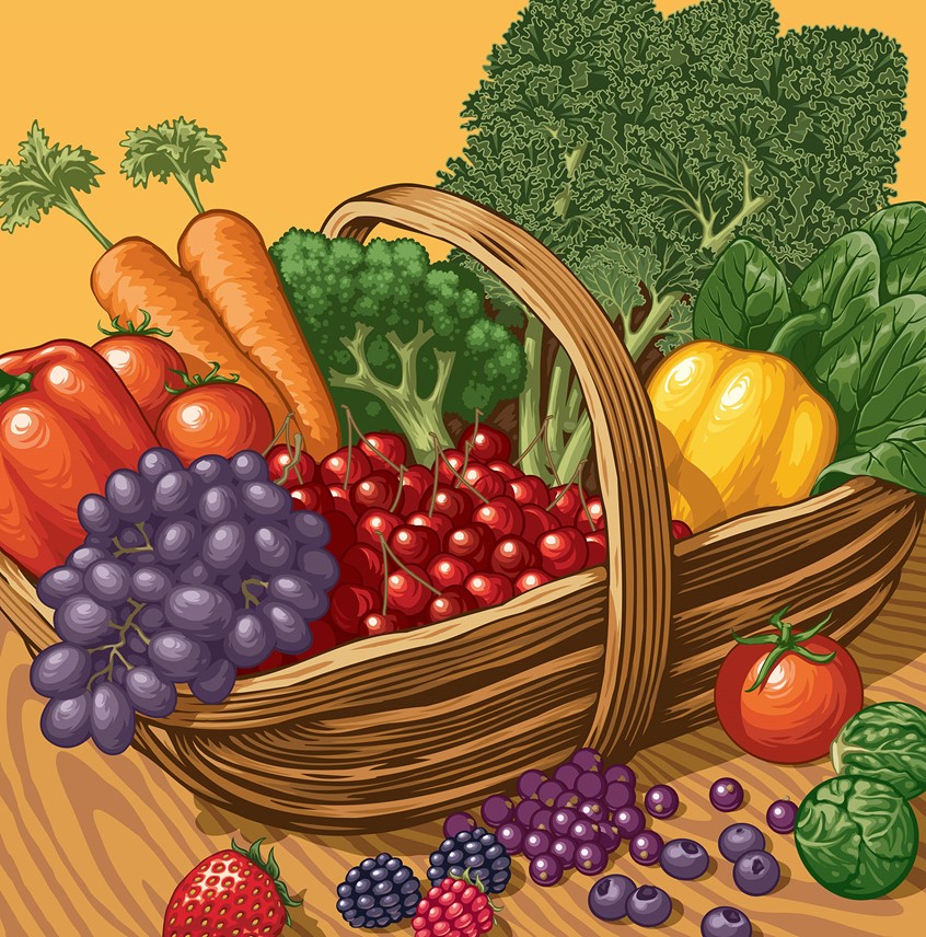 illustration of healthy, foods, vegetables, fruit, cherries, veg, kale, grapes, capsicum, spinach, cherries, tomatoes, broccoli, carrots, berries, basket, vector food
