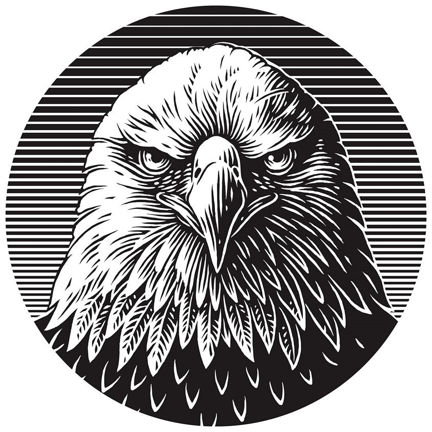 illustration of eagle, woodcut animals, bird of prey, logo illustration, birds, graphic logo, eagle's head, whiskey logo, eyes, wildlife, woodcut logo, engravings, raptor