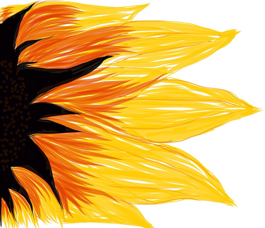 illustration of Digital illustration done using only a regular stylus on an old iPad.
Keywords: sunflower, flower, digital, botanical, summer, licensing, agriculture, blossom, botany, close up, decoration, petal, greeting card, editorial, publishing, book, magazine