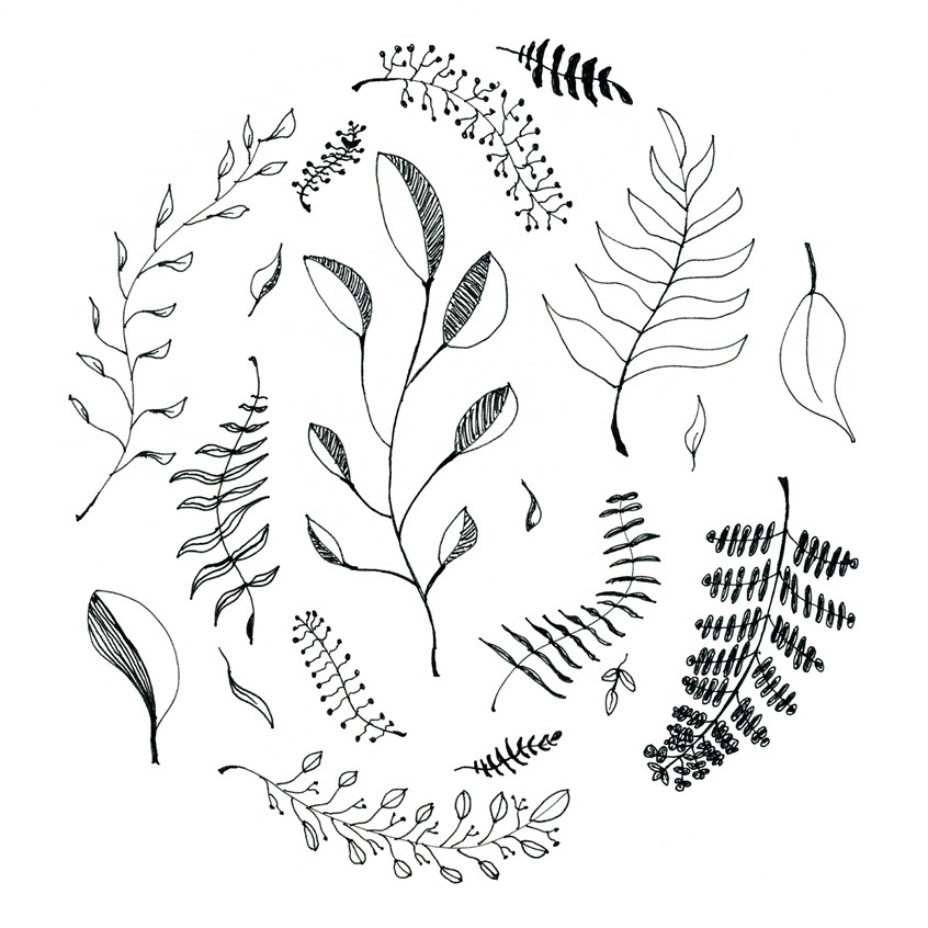 illustration of Ink illustration of various leaves and stems. Done on 98lb sketch paper.
Keywords: ink, leaves, wreath, circle, black and white, leaf, book, greeting card, magazine, editorial, agricultural, pattern, packaging, licensing, nature, hand drawn,