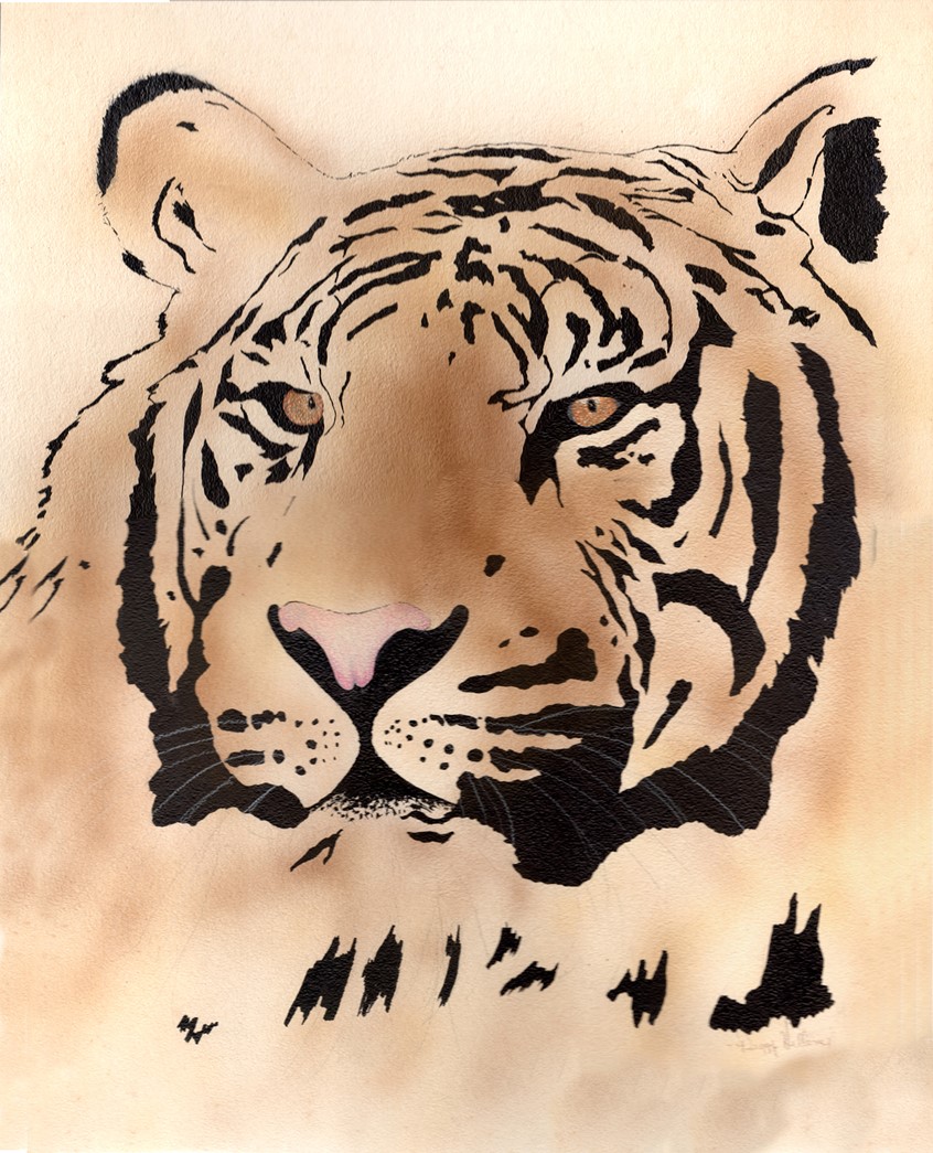 illustration of Ink, colored pencil and airbrush of a tiger head. The stripes were ink, the eyes and nose colored pencil and (real) airbrush for the overall color.
Keywords: tiger, eyes, ink, stripes, colored pencil, airbrush, wildlife, Africa, endangered, cutout, roaring, feline, poster, advertising, magazine, book publishing, wildcat, cat, big cat, hand drawn,