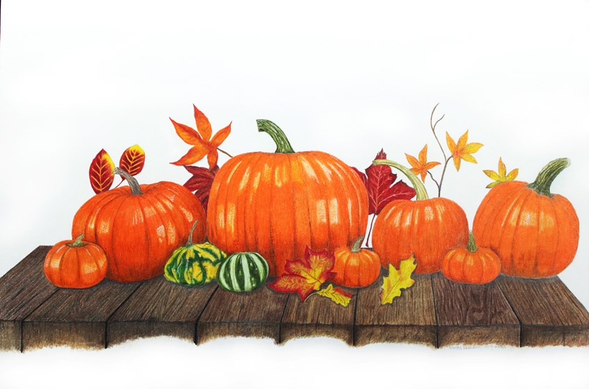 illustration of Colored pencil on cold press illustration board. Celebrating Thanksgiving in the USA.
Keywords: Pumpkins, leaves, fall, autumn, wood, thanksgiving, holiday, agriculture, orange, yellow, green, brown, harvest, best illustrator, October, November, vegan, natural,