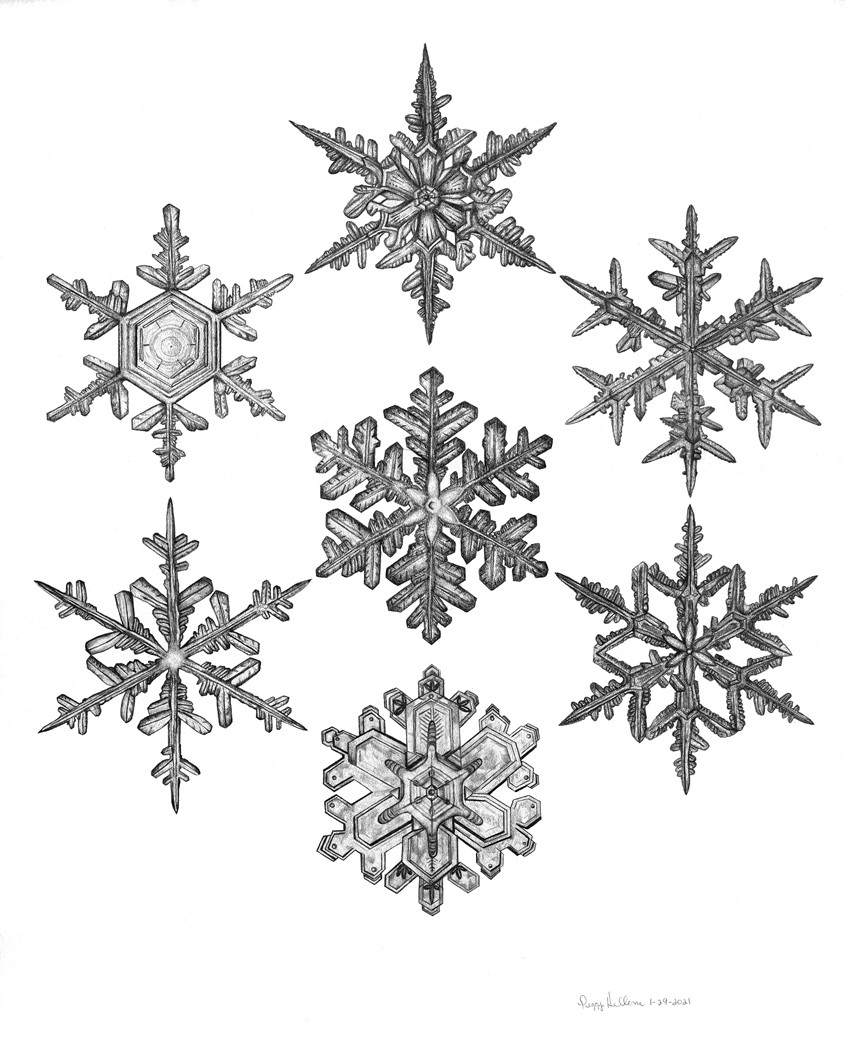 illustration of Hand drawn, graphite pencil on cold press illustration board. 15 x 20. Based on photographs of actual snowflakes.
Keywords: Snow, snowflakes, greeting card, pencil, graphite, unique, winter, crystal, design,