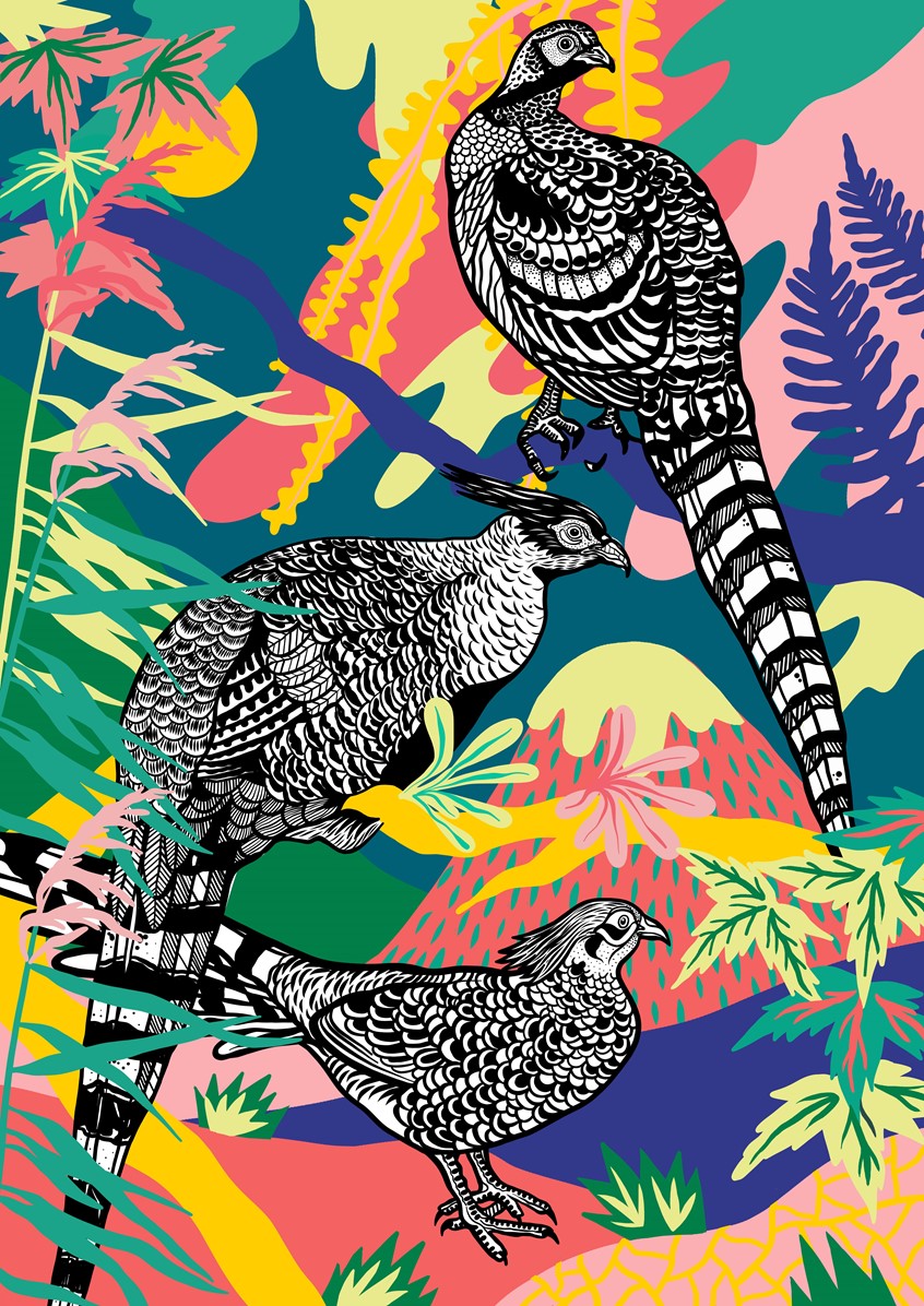 illustration of Book cover, posters, art, Pheasants, birds, Black and White line work, Pattern, nature, Life, Animal, Mountains, Landscape, sitting birds, plants, trees, hunting, wildlife, wild