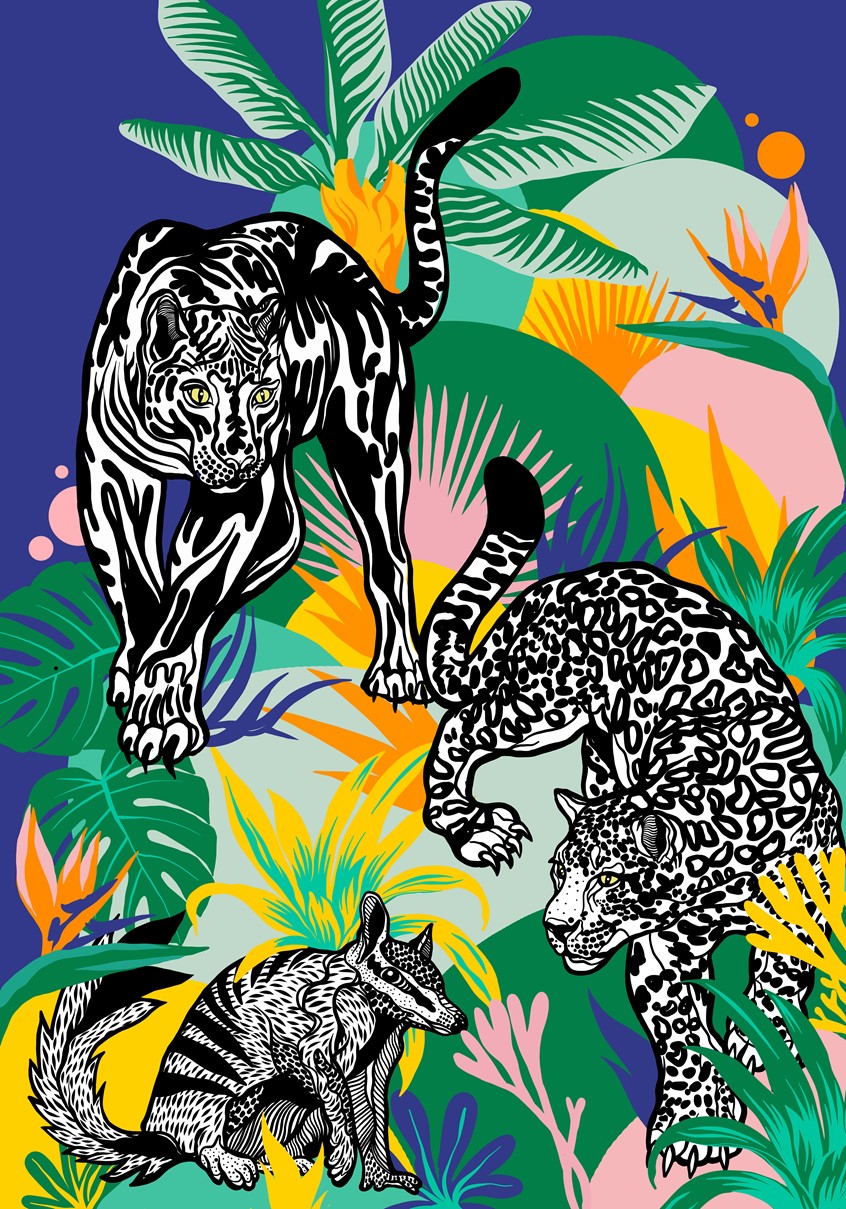 illustration of Feline, Cat, Panther, Big Cat, Tropical, Exotic, Leopard, Pattern, Black and White Line Work, Botanical, Hunting, Flowers, wild, Wildlife, Rainforest, endangered species, Editorial, Travel, Animal, Numbat,
marsupial, habitat, travel, Ecology, endangered species,