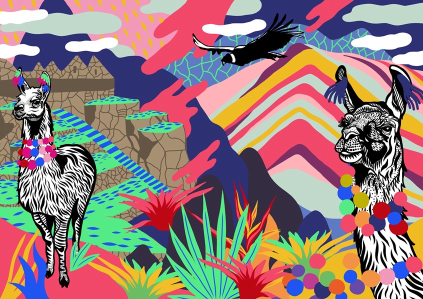 illustration of Peru, Illustration, Travel, Travel illustration, Lama, Alpaca, Native, South American, Mountains, Machu Picchu, tradition, Pom poms, Bird, Nature, Inca, antique, history, ancient, Cactus, Impression, sight seeing, Magazine, Editorial