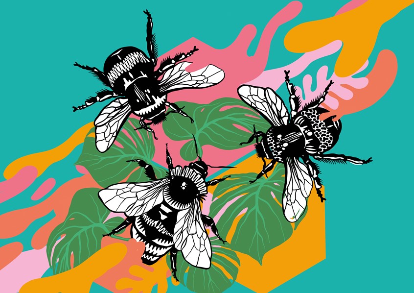 illustration of Bees, animal, insect, honey, plants, patter, botanical,
pollination, cover, magazine, editorial, packaging, plant based, vegan, flying, shapes, drawing, black and white line work, drawing,