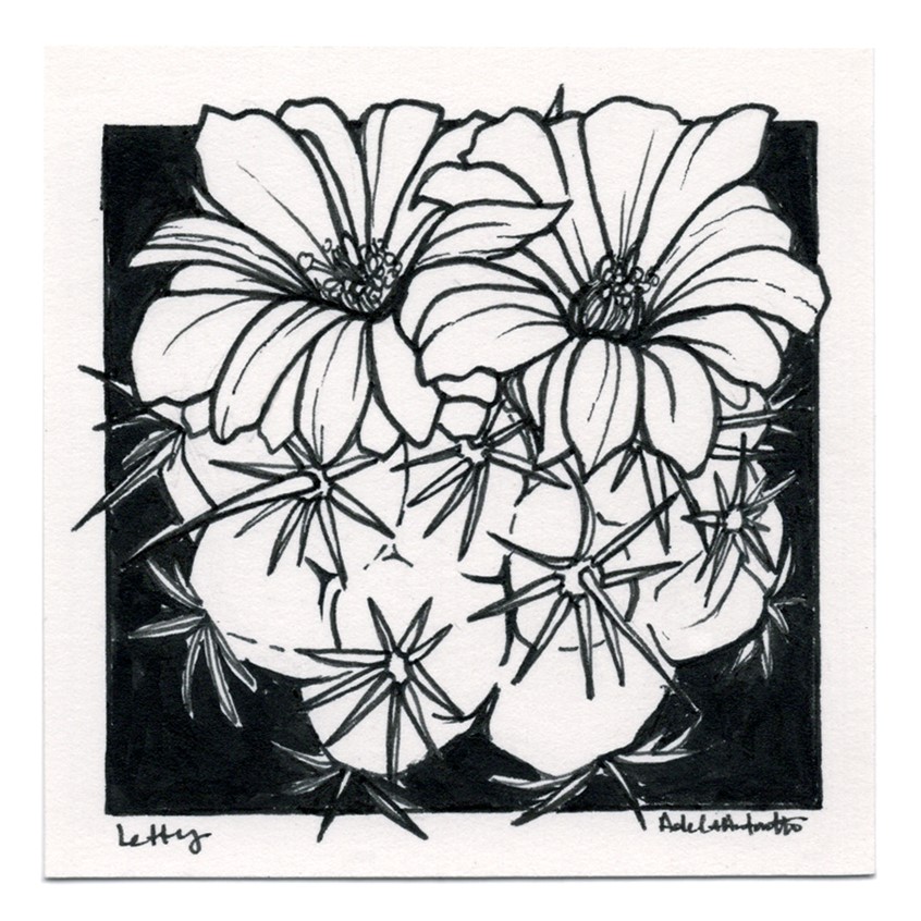 illustration of Letty in Ink. 2020
Plant portrait. Ink illustration
Ink, desert, flora, flowers, park, botany, park flower, pollen, line drawing, black and white, drawing, ink drawing, pen, bloom, cactus, cacti, succulents
